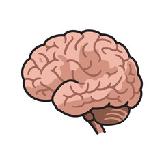 Human brain silhouette icon. Human brain vector illustration in flat style. Human brain on white background.