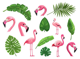 Obraz premium Pink flamingo and tropical leaves. Cartoon flamingos heads, palm tree green leaf. Exotic plants, cute birds characters. Beach seaside nature, vector set
