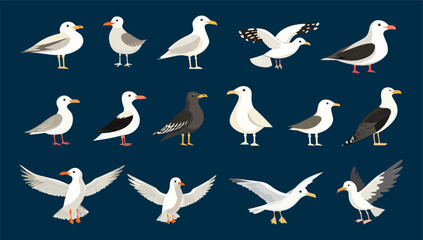 Obraz premium Seagull birds. Different seagulls flying and stand. Cartoon ocean sea nature wild bird. White and dark animals, beach coast landscape vector character