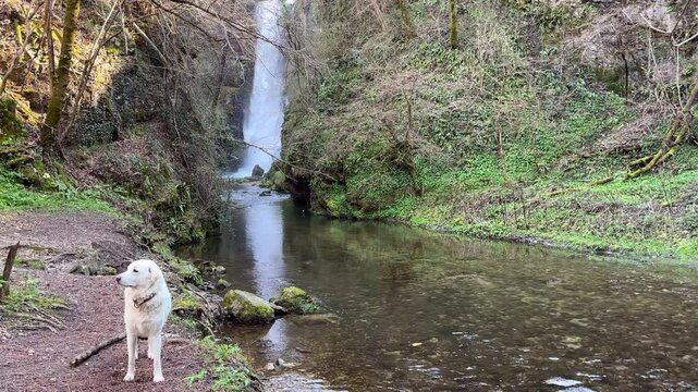 The Fermona Waterfall in Ferrera di Varese, Lombardy, Italy