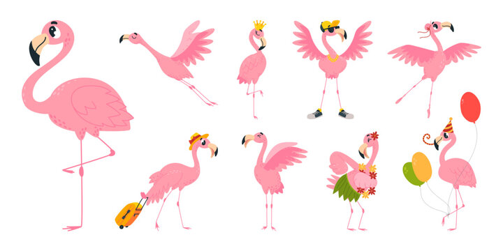 Cute pink flamingo. Summer funny flamingos, exotic birds in different poses. Tropical bird with suitcase, with balloons, dancing and flying, classy vector characters