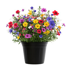 A 3D Potted Wildflower Plant with Multiple Colorful Flowers Isolated on Transparent Background