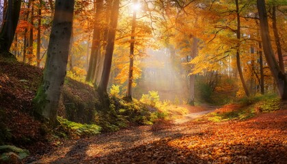 Obraz premium overwhelming feeling of wonder and amazement that envelops one's being while embarking on a journey through a sun-kissed woodland, adorned with vibrant autumnal hues, brimming with untold secrets wait