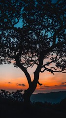 Entwined Shadows: A Silhouette Tree Against the Twilight Horizon