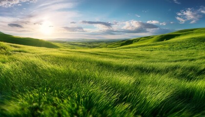 Fototapeta premium Behold serene expanse of a grassy meadow, adorned with a lush verdant carpet, where gentle sway of emerald blades whispers of unspoiled nature and purity, inviting one to bask in its tranquil embrace