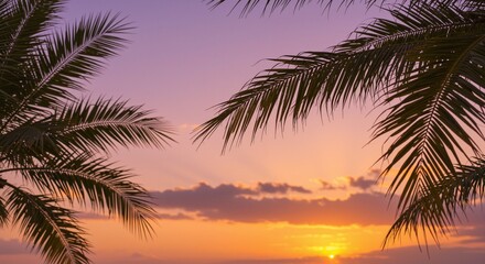 Obraz premium Palm trees silhouetted against a vibrant sunset sky with shades of purple and orange expressing tranquility and serenity