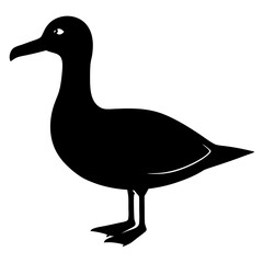 albatross bird black silhouette vector, Simple silhouette Design vector icon with white background. Wild bird