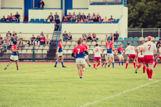 Rugby players celebrate a touchdown with fans in a match