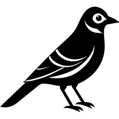 blue jay bird black silhouette vector, Simple silhouette Design vector icon with white background. Wild bird