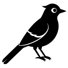 blue jay bird black silhouette vector, Simple silhouette Design vector icon with white background. Wild bird