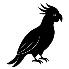cockatoo bird black silhouette vector, Simple silhouette Design vector icon with white background. Wild bird