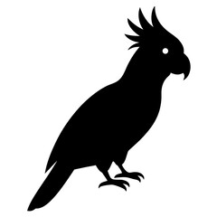 cockatoo bird black silhouette vector, Simple silhouette Design vector icon with white background. Wild bird