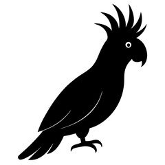 cockatoo bird black silhouette vector, Simple silhouette Design vector icon with white background. Wild bird