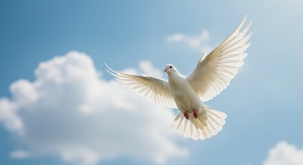 Fototapeta premium White dove flying against a blue sky with fluffy clouds 