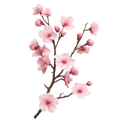 Delicate Pink Cherry Blossoms Abstract Art Springtime Beauty