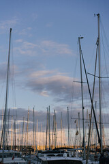 yachts in the harbor