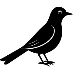 cuckoo bird black silhouette vector, Simple silhouette Design vector icon with white background. Wild bird