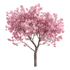 Pink Cherry Blossom Tree in Vibrant Abstract Background Delightful Spring Bloom