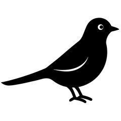 cuckoo bird black silhouette vector, Simple silhouette Design vector icon with white background. Wild bird