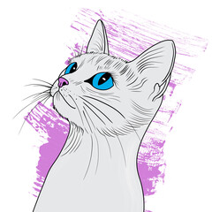 cute white cat with blue eyes on transparent background