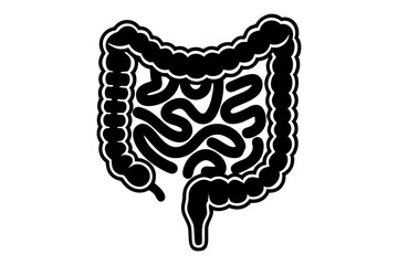 Digestive System Drawing on White Background