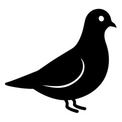 dove bird black silhouette vector, Simple silhouette Design vector icon with white background. Wild bird