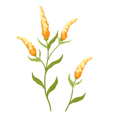 Meadow yellow mimosa flowers. A vibrant illustration of yellow and orange Celosia flowers with lush green leaves, isolated on a white background. This elegant botanical vector is perfect for floral
