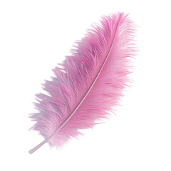 Delicate Pink Ostrich Feather Soft Light Elegance,