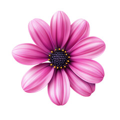 Pink flower blossom delicate petals vibrant beauty nature bloom