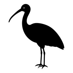 Fototapeta premium ibis bird black silhouette vector, Simple silhouette Design vector icon with white background. Wild bird