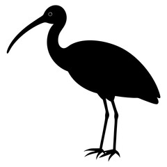 ibis bird black silhouette vector, Simple silhouette Design vector icon with white background. Wild bird