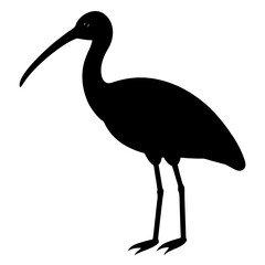 ibis bird black silhouette vector, Simple silhouette Design vector icon with white background. Wild bird