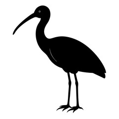 ibis bird black silhouette vector, Simple silhouette Design vector icon with white background. Wild bird