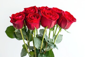 Fototapeta premium Red rose bouquet, isolated on white background