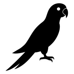 macaw bird black silhouette vector, Simple silhouette Design vector icon with white background. Wild bird