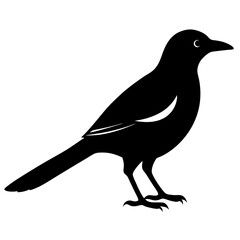 magpie bird black silhouette vector, Simple silhouette Design vector icon with white background. Wild bird