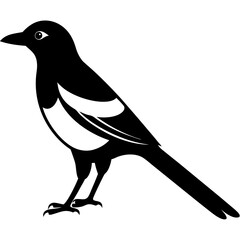 magpie bird black silhouette vector, Simple silhouette Design vector icon with white background. Wild bird