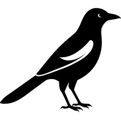 magpie bird black silhouette vector, Simple silhouette Design vector icon with white background. Wild bird