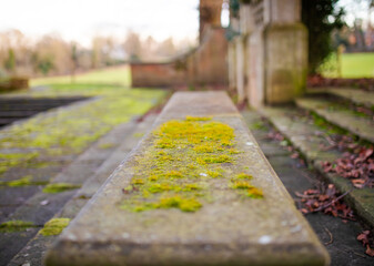 The moss on the old stone banch in England