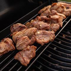 grilled meat on the grill