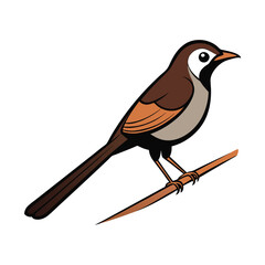 Cartoon Sparrow - Digital Bird Illustration with Brown and White Feathers