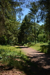 Entr&eacute;e de la for&ecirc;t domaniale de Vimy