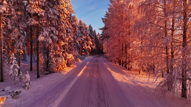 Drone coucher de soleil rose sur une plaine et for&ecirc;t Laponie Finlandaise