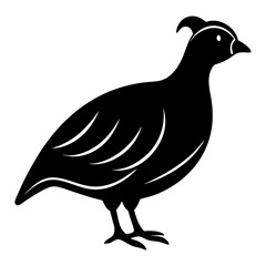 quail bird black silhouette vector, Simple silhouette Design vector icon with white background. Wild bird