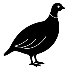 quail bird black silhouette vector, Simple silhouette Design vector icon with white background. Wild bird