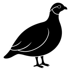 quail bird black silhouette vector, Simple silhouette Design vector icon with white background. Wild bird