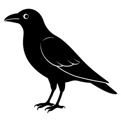 raven bird black silhouette vector, Simple silhouette Design vector icon with white background. Wild bird