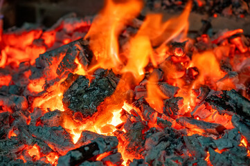 depiction of fire, capturing its beauty, power, and transformative nature.