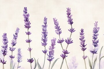 Naklejka premium Lavender Watercolor Painting