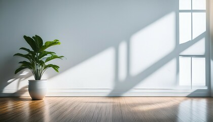 interior of a modern office with plant